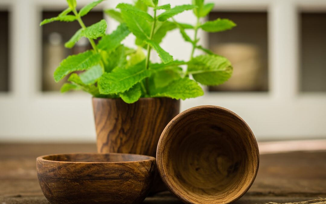 herbs-1475011_1280
