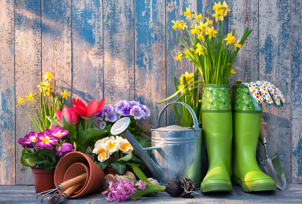 shutterstock_384426322