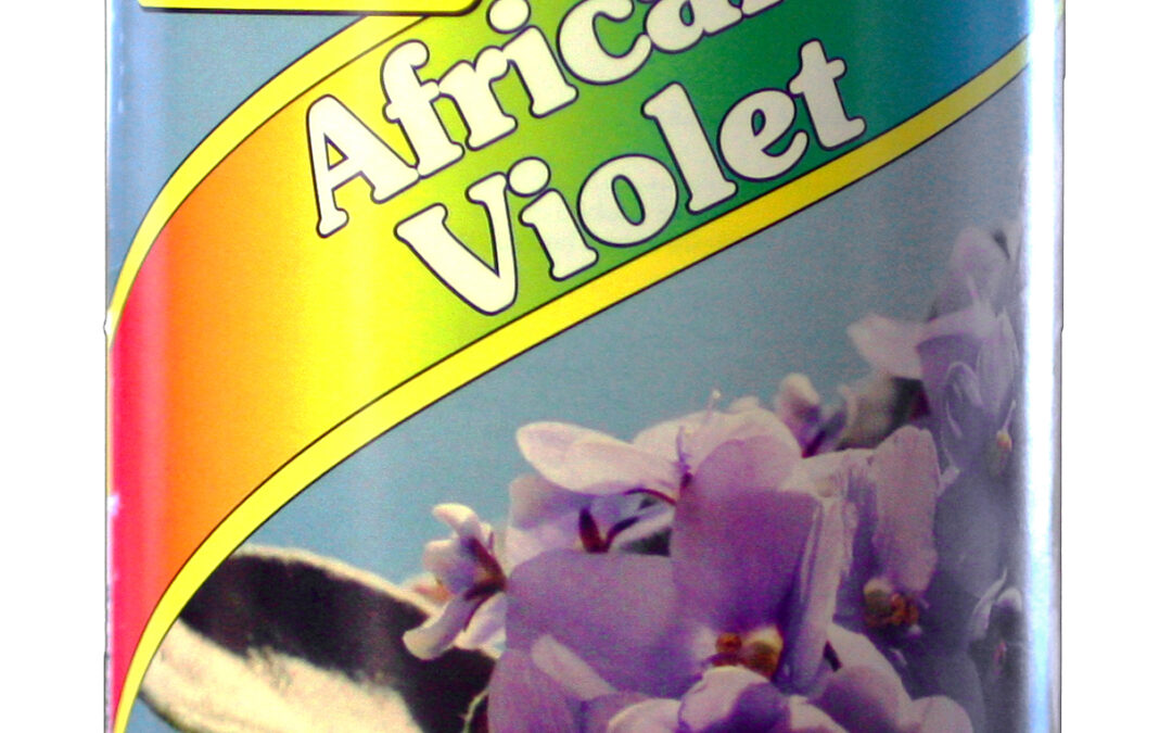 African Violet 24oz