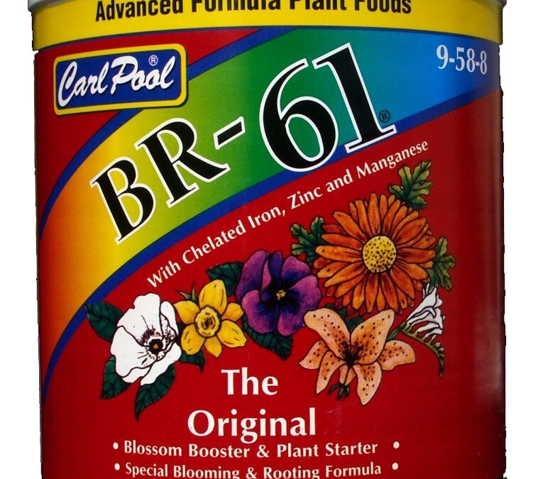 BR 61 3#