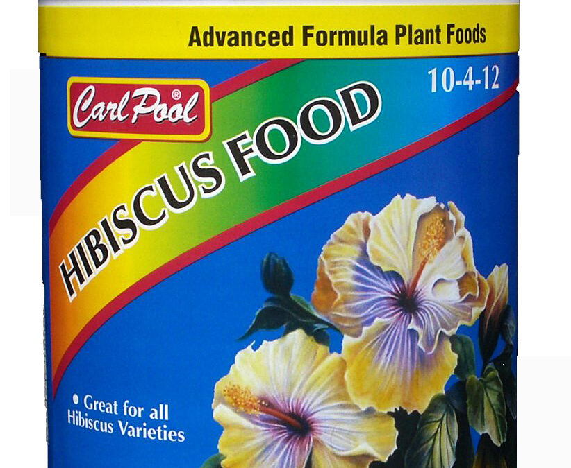 Hibiscus Food 4#